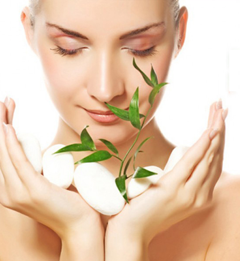 wellness beauty therapy Centre
